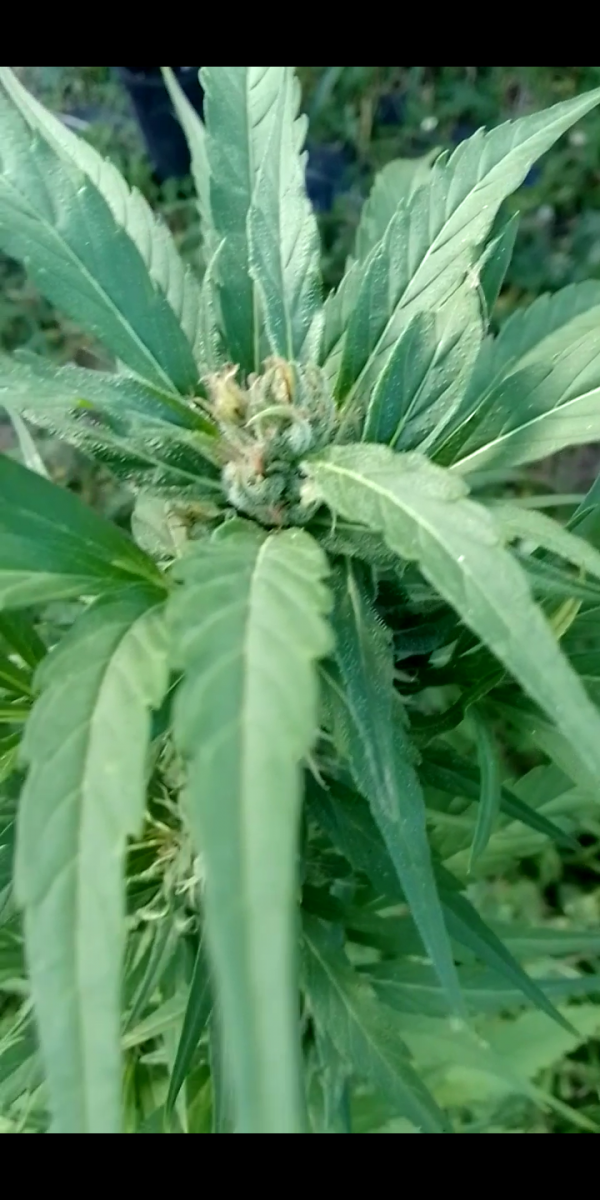 Screenshot_20230311-021144