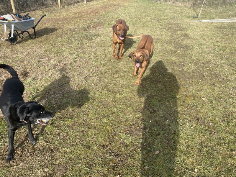 31E737CF-3818-4698-91B0-F594086B135F