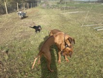 3779F6DA-697F-4A71-A5C6-F9F1BBFDCA9D