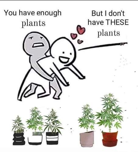 75fed9e63334f43fdb62391f4fb242ad6ea7dcac_2_454x500