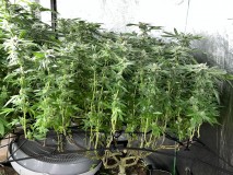 9DB233B9-369A-4C0E-B428-33B72305E190