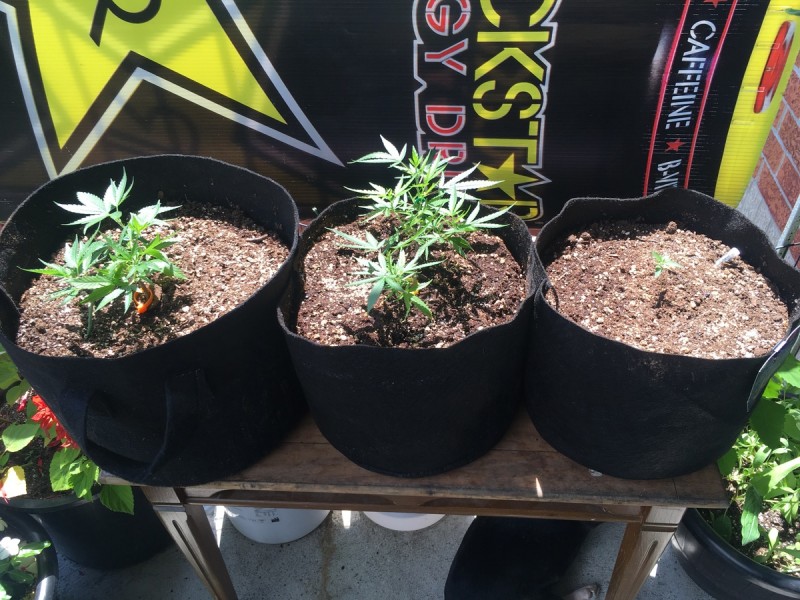 0C495C1A-8B5C-4384-9A29-229D7B891002