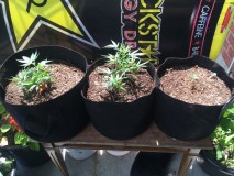 0C495C1A-8B5C-4384-9A29-229D7B891002