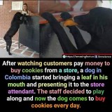 248028ab0f0a27139bcfad0fbeef82c8af537d7a_2_500x500