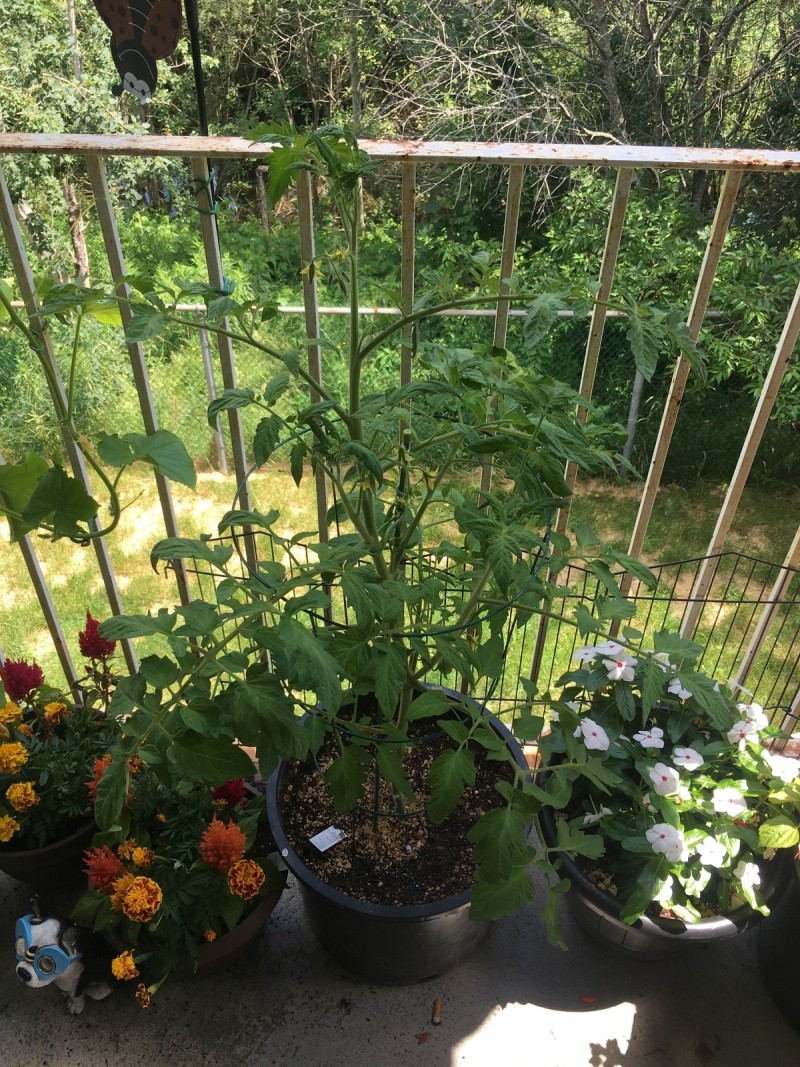 0D03BA59-4170-48EF-BFDC-E9284B2FA4DB