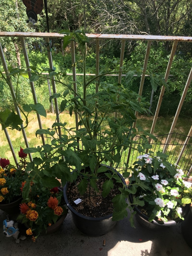 E8284F0B-815E-4797-A633-0BCD6ADBD2C9