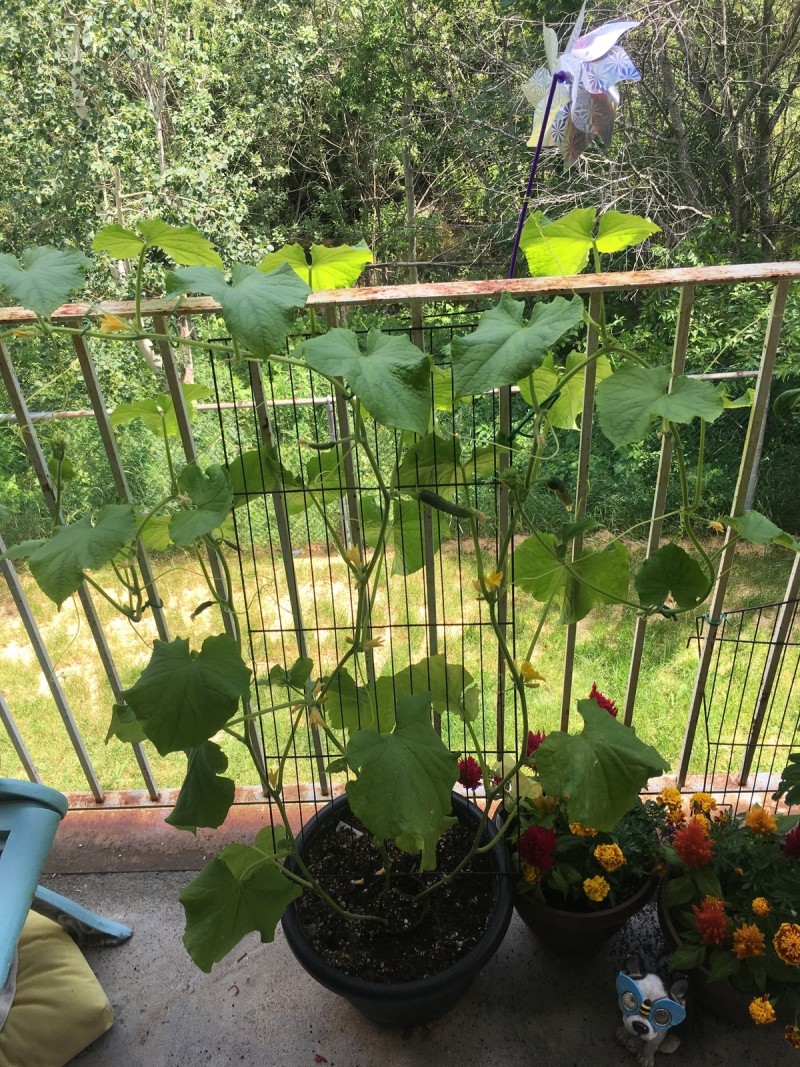 C8F8F29E-8F9B-4620-AF4A-C87309A7A73D