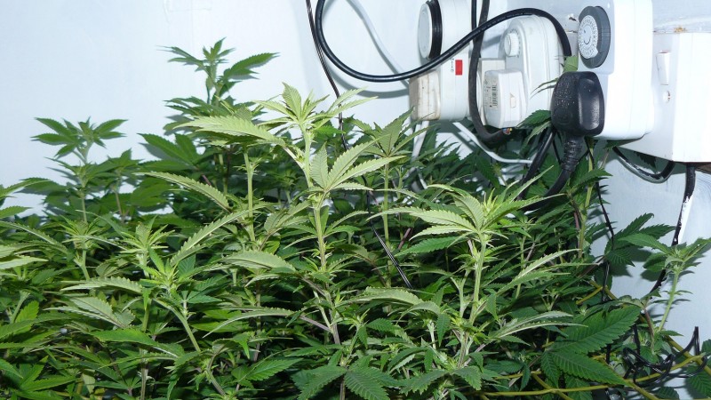 drobes back to old pc! 021