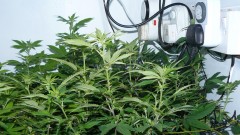 drobes back to old pc! 021