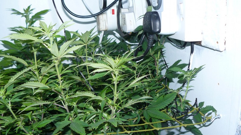 drobes back to old pc! 022