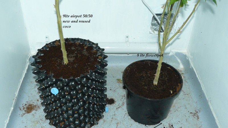 drobes back to old pc! 023