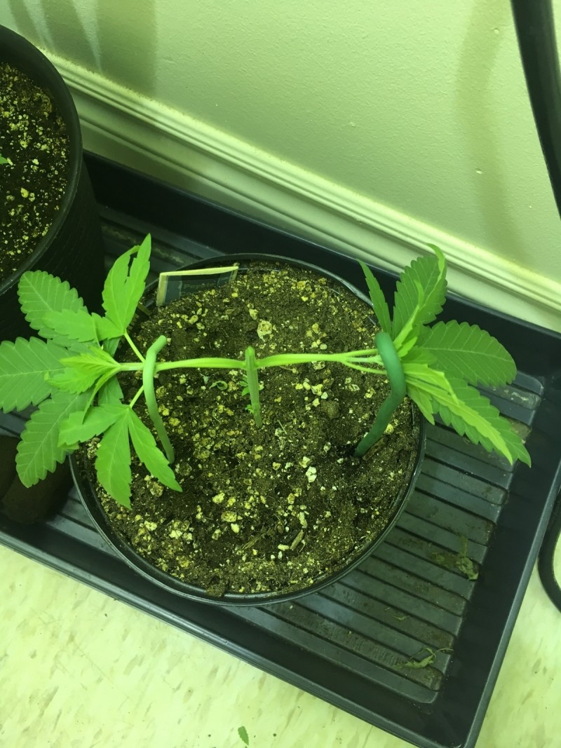 91A1ECC1-EE7A-4EE2-8224-EFC19FE5B2CD