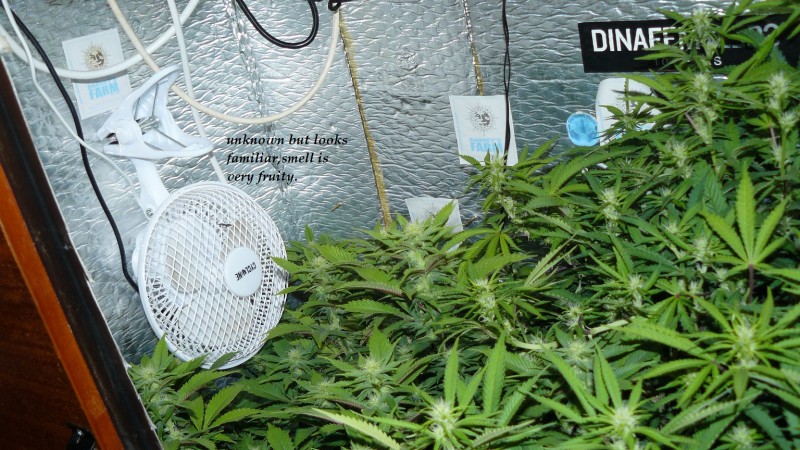 drobes back to old pc! 035