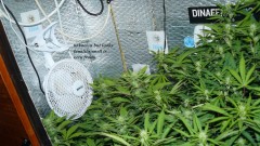 drobes back to old pc! 035