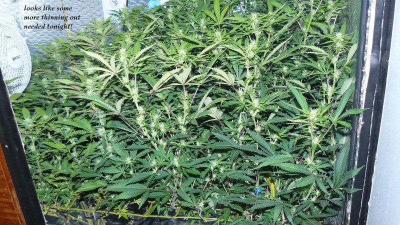 drobes back to old pc! 037