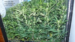 drobes back to old pc! 037