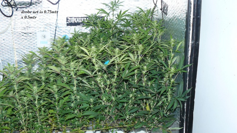 drobes back to old pc! 044