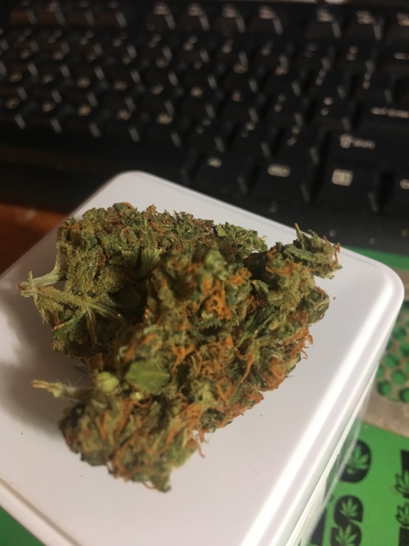 77E5FC91-76DA-45B6-B4E4-4FB1ACBEB944