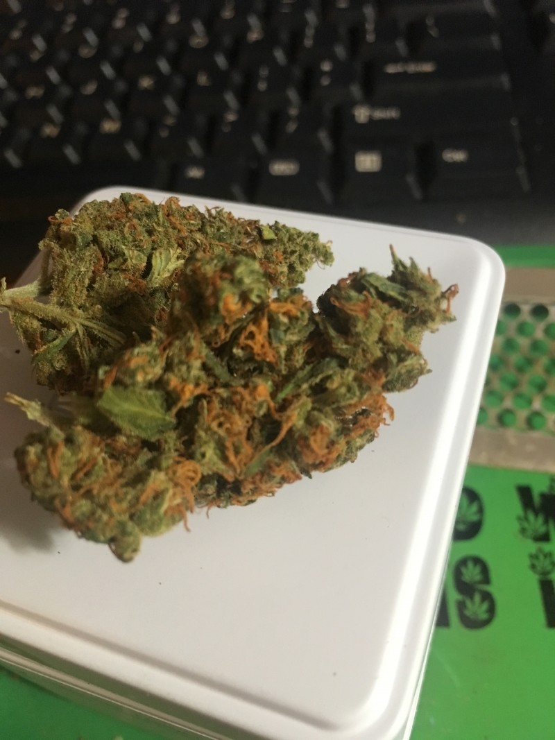 76C60DAA-80CB-40C0-A56C-E67463EB82BB