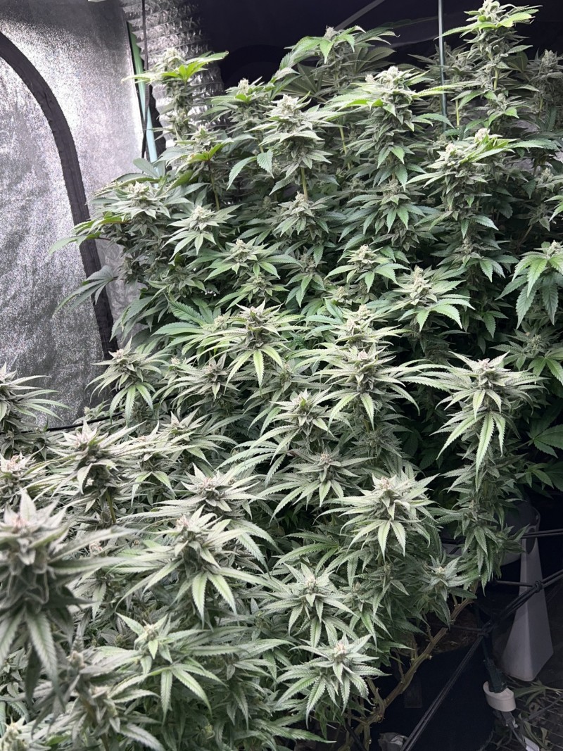 3B83AE24-65CD-496E-A6EB-6AE3F4A8C30D