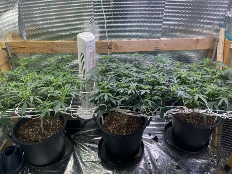 85E6BA46-367A-4614-842E-2E6921B86A9B