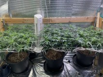 85E6BA46-367A-4614-842E-2E6921B86A9B