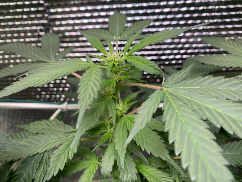 386DA984-8C5A-43B8-AABA-CDB54191878B