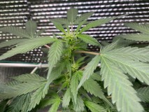 386DA984-8C5A-43B8-AABA-CDB54191878B