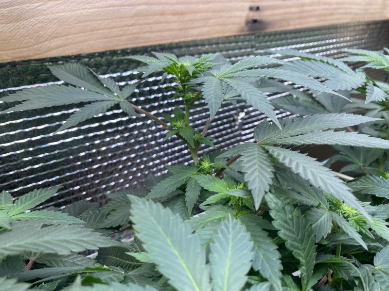 55881319-7E2A-48A9-8A66-990643EC045C