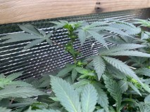 55881319-7E2A-48A9-8A66-990643EC045C