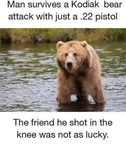 36926004e76cb74aaab885f11a5369c953dcf26d_2_438x500