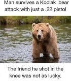 36926004e76cb74aaab885f11a5369c953dcf26d_2_438x500