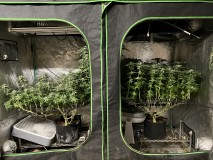 3C5EA070-65FA-433E-983D-D290E15A6131