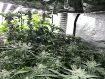 E7DD7144-0CE5-4018-8575-836C06E775A5