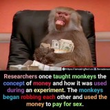 57b8fd5bcbb37800d66add3154e43ca909e67dd4_2_500x500