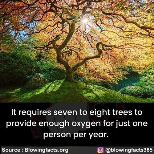 9be4a2b8b6ece97c5b92c45dfdb608adc4f3ed64_2_500x500