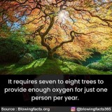 9be4a2b8b6ece97c5b92c45dfdb608adc4f3ed64_2_500x500