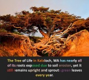 58fe6ec6d95262ab023cfe16309591d75dbcb4b6