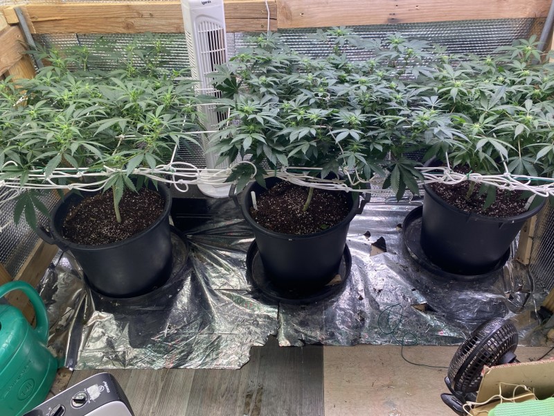 CF375B2F-9E57-43BC-8C50-1718517B6691