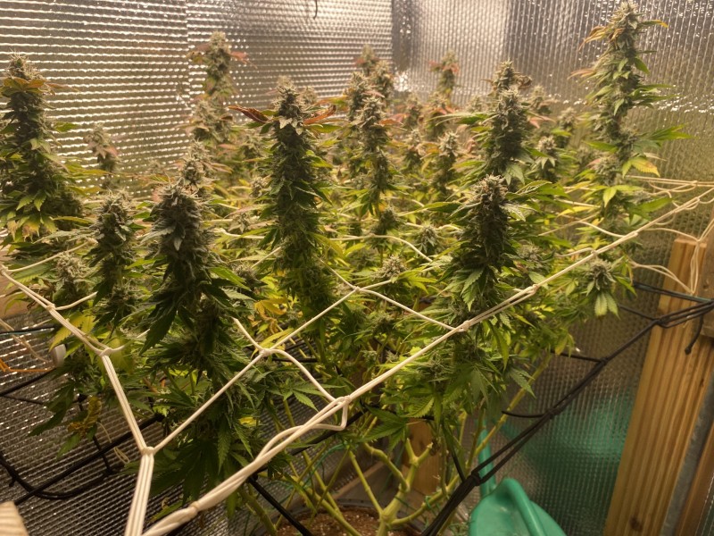 D7717E8C-66DB-46A5-9B61-1C4EA82C9DE3