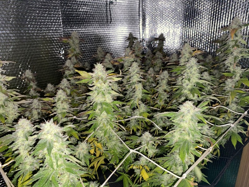 90F5398D-3F79-4D1C-A475-6C7CD05D7422