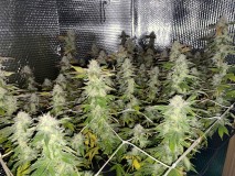 90F5398D-3F79-4D1C-A475-6C7CD05D7422