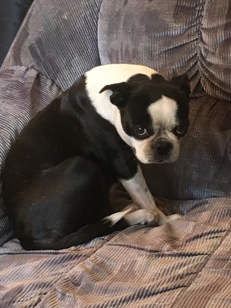 25291E91-E3D7-42EB-9822-04A9C3A06F41