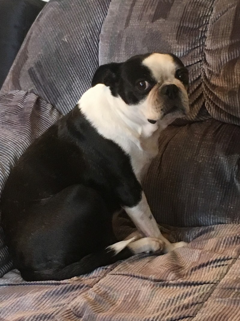 5FECF00D-283C-4717-BFCB-D472448E9A8A