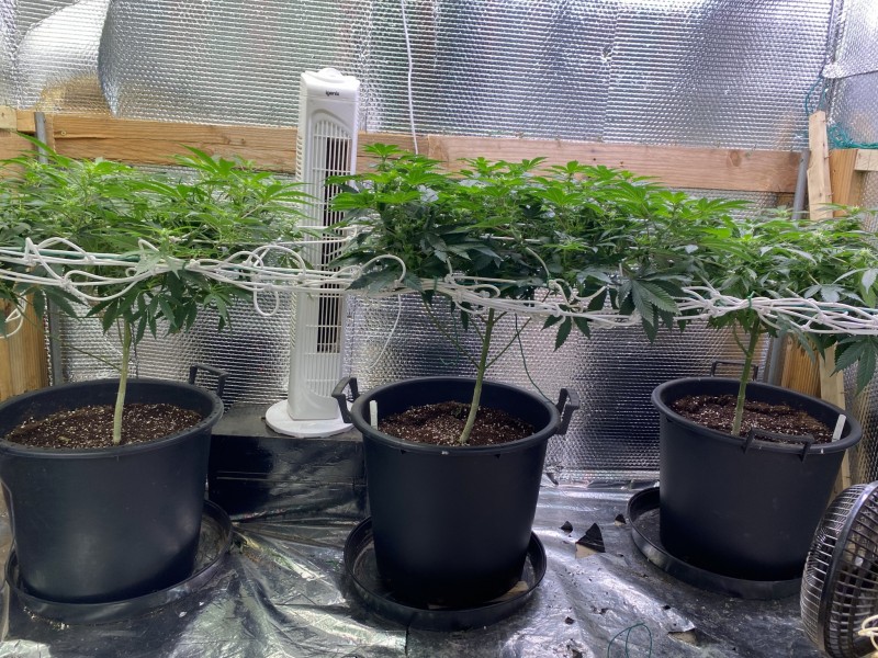 42999F3B-C9E2-4D52-A95F-426551C5280A