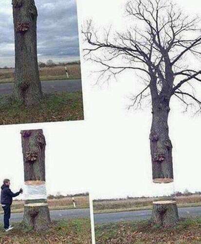 eb70c59bcae70d1df45e8bdc44c4f74b2303e60f_2_413x500