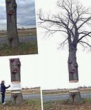 eb70c59bcae70d1df45e8bdc44c4f74b2303e60f_2_413x500