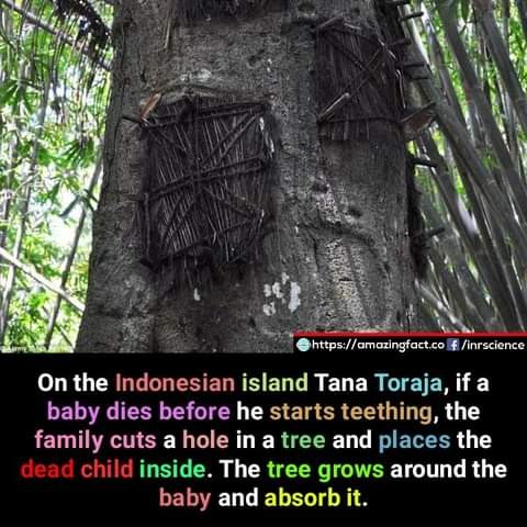 83d77c10c64d1d8699960dac9921d1581f21c24e (1)