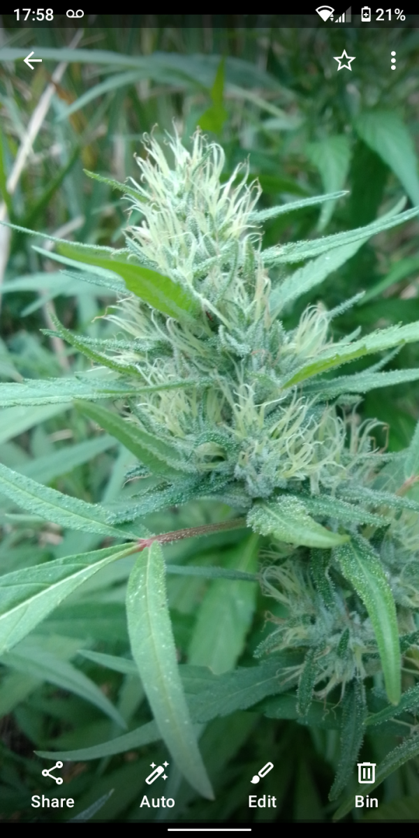 Screenshot_20230319-175842