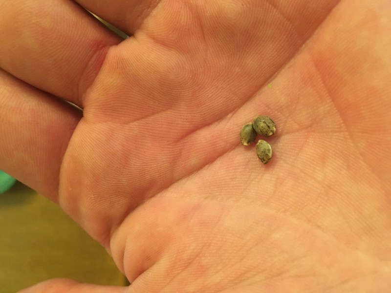 C7D3DAA2-1A7D-4154-9F3E-572DABB3298D